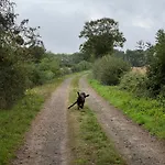 Du Rossignol A 5 Minutes Du Chateau De La Citardiere Et A 14 Minutes Du Chateau De Bourneau Mervent