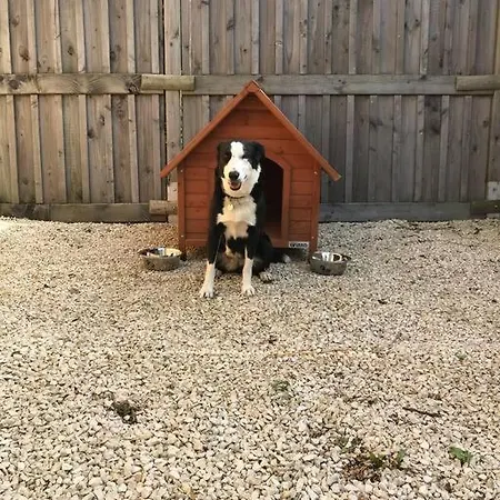 Du Rossignol Entre Et Forêt Hébergement de vacances *