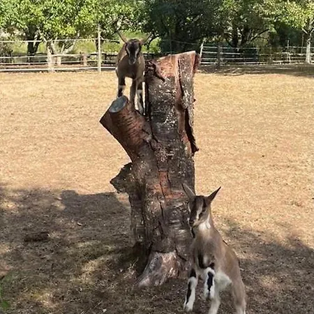 Hébergement de vacances Du Rossignol Entre Et Forêt *