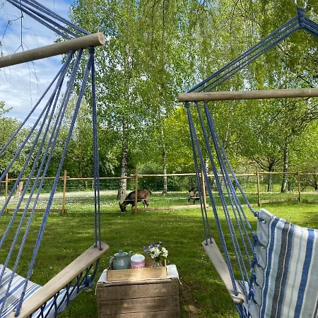 Du Rossignol Entre Et Forêt