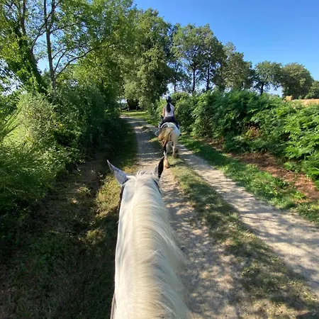 Hébergement de vacances Du Rossignol Entre Et Forêt *