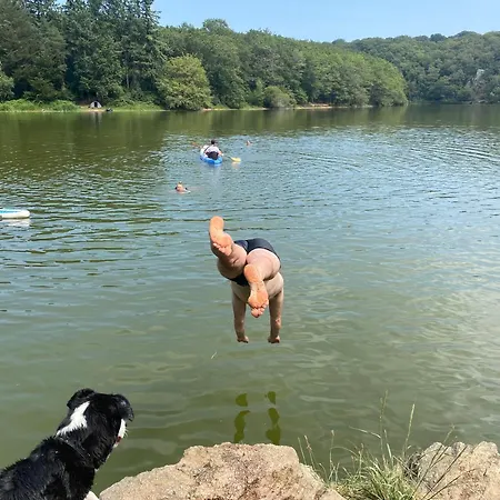 Hébergement de vacances Du Rossignol Entre Et Forêt *