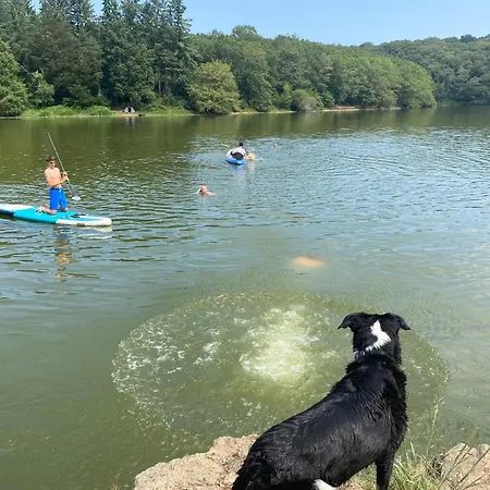 Du Rossignol A 5 Minutes Du Chateau De La Citardiere Et A 14 Minutes Du Chateau De Bourneau Mervent