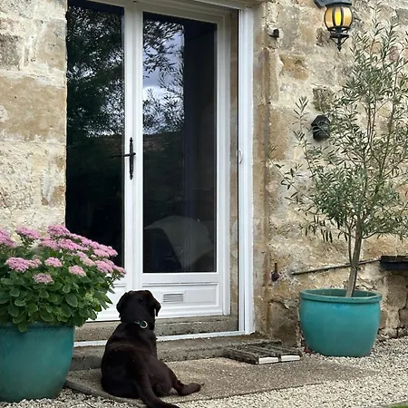 Du Rossignol Entre Et Forêt