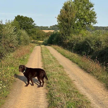 Du Rossignol A 5 Minutes Du Chateau De La Citardiere Et A 14 Minutes Du Chateau De Bourneau بيت للعطل *