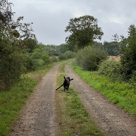 Du Rossignol Entre Et Forêt Mervent