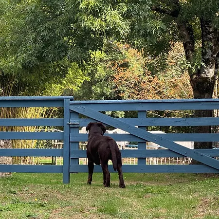 Du Rossignol Entre Et Forêt Hébergement de vacances