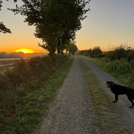 بيت للعطل Du Rossignol A 5 Minutes Du Chateau De La Citardiere Et A 14 Minutes Du Chateau De Bourneau Mervent