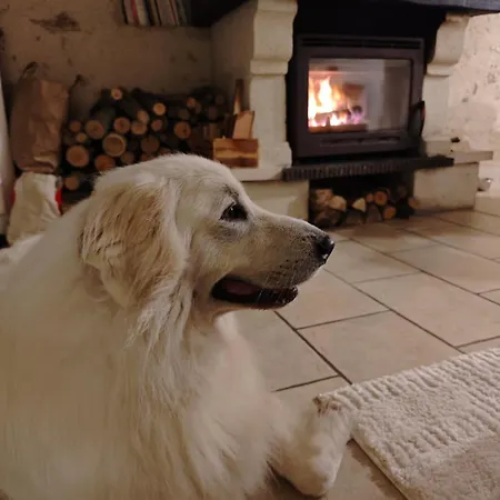 Hébergement de vacances Du Rossignol Entre Et Forêt