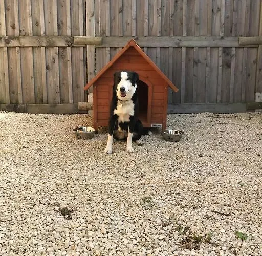 Du Rossignol A 5 Minutes Du Chateau De La Citardiere Et A 14 Minutes Du Chateau De Bourneau Дом отдыха *