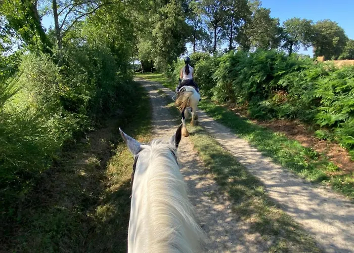 Feriehus Du Rossignol A 5 Minutes Du Chateau De La Citardiere Et A 14 Minutes Du Chateau De Bourneau *
