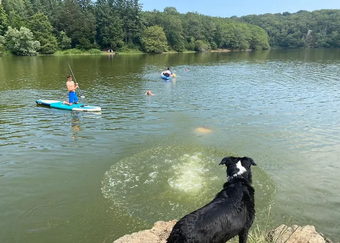 Du Rossignol A 5 Minutes Du Chateau De La Citardiere Et A 14 Minutes Du Chateau De Bourneau Mervent