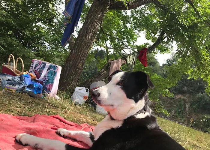 Du Rossignol A 5 Minutes Du Chateau De La Citardiere Et A 14 Minutes Du Chateau De Bourneau *