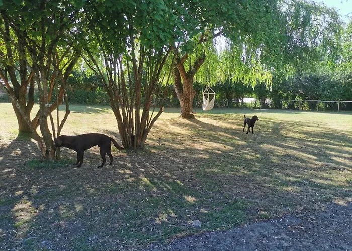 Du Rossignol A 5 Minutes Du Chateau De La Citardiere Et A 14 Minutes Du Chateau De Bourneau Дом отдыха *
