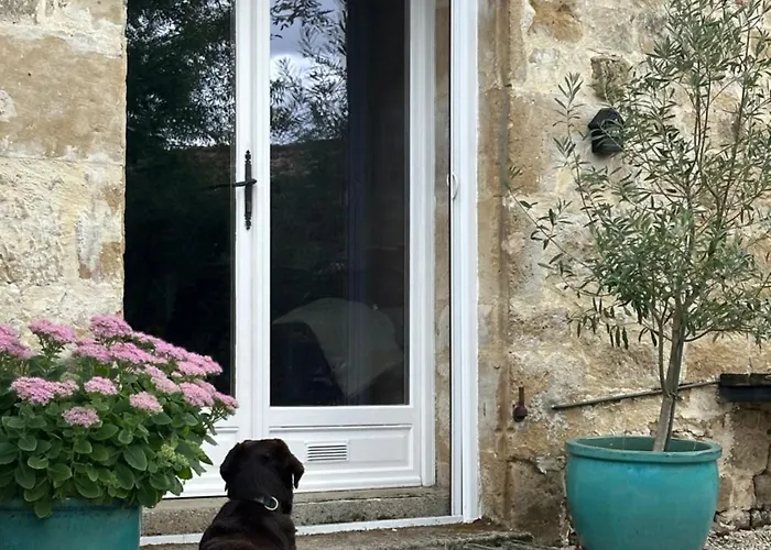 Du Rossignol A 5 Minutes Du Chateau De La Citardiere Et A 14 Minutes Du Chateau De Bourneau