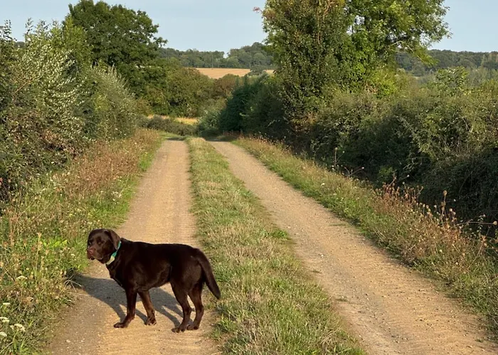 Du Rossignol A 5 Minutes Du Chateau De La Citardiere Et A 14 Minutes Du Chateau De Bourneau Feriehus *
