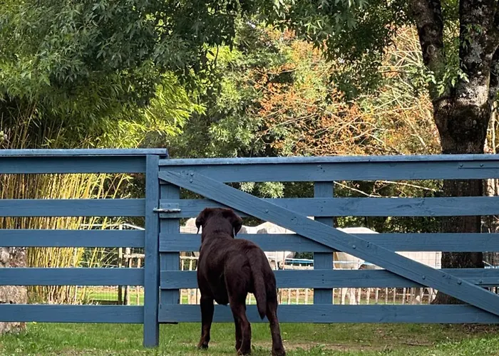 Du Rossignol A 5 Minutes Du Chateau De La Citardiere Et A 14 Minutes Du Chateau De Bourneau Дом отдыха