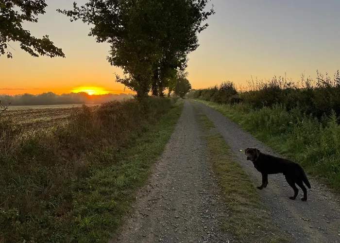 Дом отдыха Du Rossignol A 5 Minutes Du Chateau De La Citardiere Et A 14 Minutes Du Chateau De Bourneau Mervent
