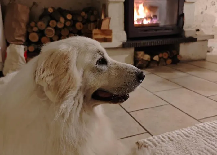 Feriehus Du Rossignol A 5 Minutes Du Chateau De La Citardiere Et A 14 Minutes Du Chateau De Bourneau